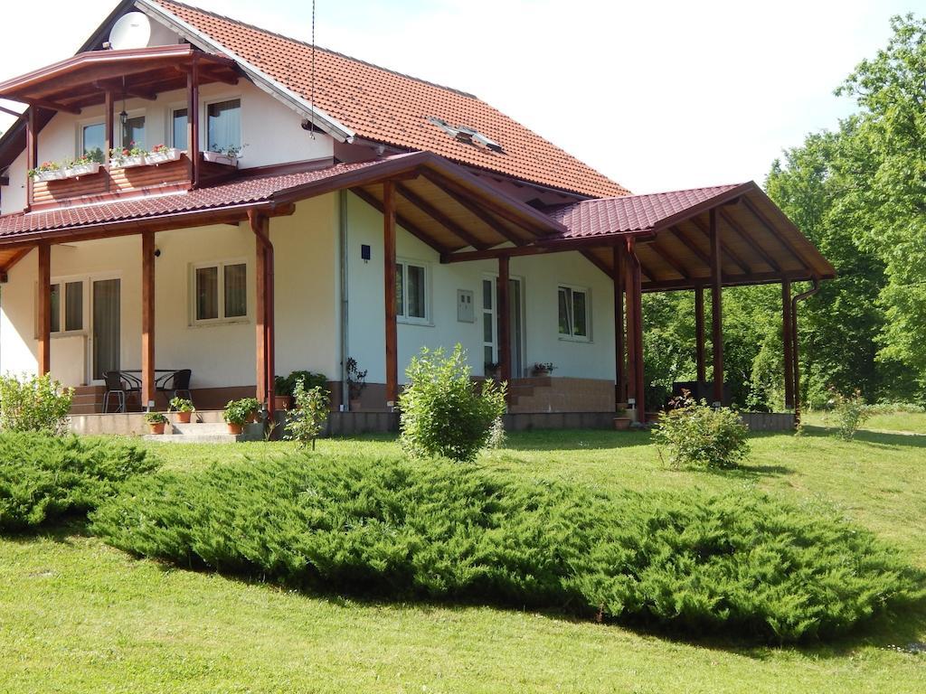 Guesthouse Abrlic Selište Drežničko Buitenkant foto